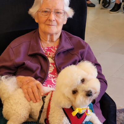 Pet Therapy at Georges Estate